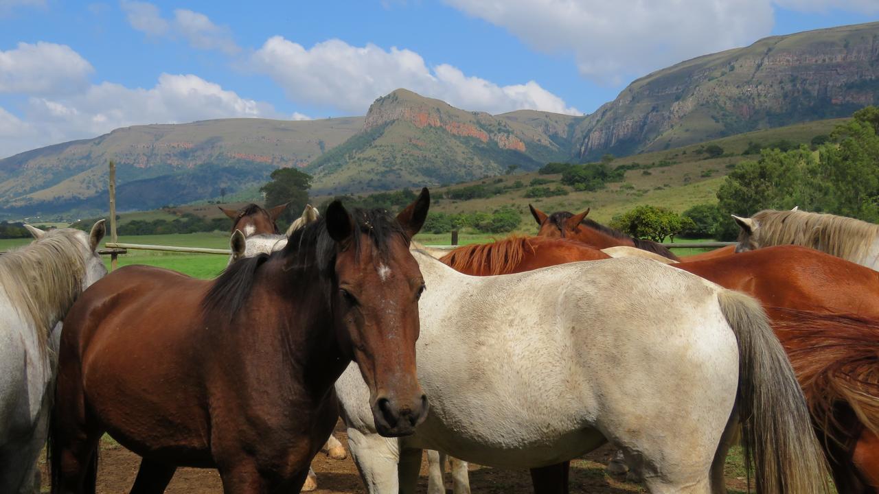 Verlorenkloof Dullstroom Eksteriør bilde